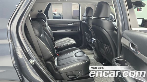 Hyundai Palisade 2024, фото 16