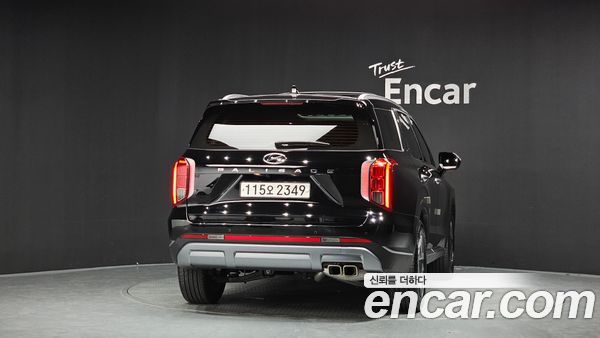 Hyundai Palisade 2024, фото 3