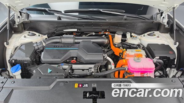 Hyundai Santa Fe 2024, фото 6