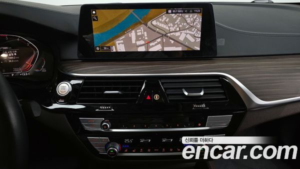 BMW 5 Series 2020, фото 14