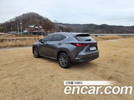 Lexus NX 2024, фото 5