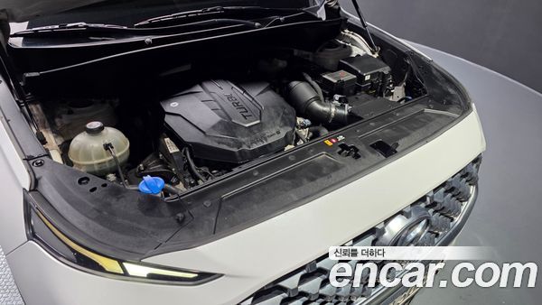 Hyundai Santa Fe 2021, фото 6