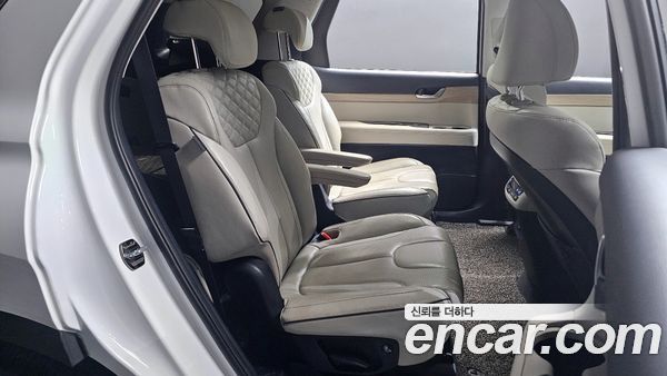 Hyundai Palisade 2022, фото 18