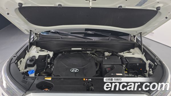 Hyundai Palisade 2021, фото 6