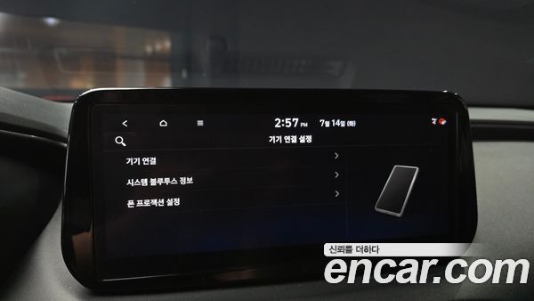 Hyundai Santa Fe 2021, фото 17