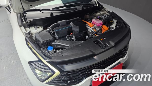 Kia Sportage 2024, фото 6