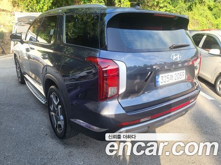 Hyundai Palisade 2024, фото 6
