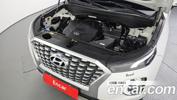 Hyundai Palisade 2020, фото 6
