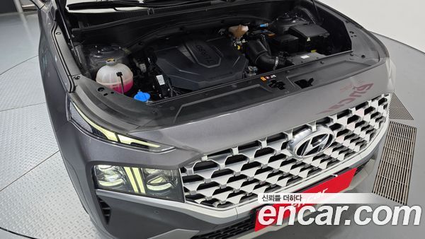 Hyundai Santa Fe 2021, фото 6