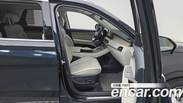 Hyundai Palisade 2021, фото 11