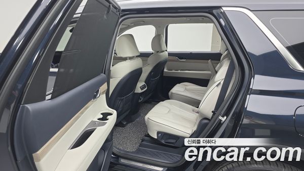 Hyundai Palisade 2021, фото 12