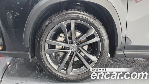 Lexus NX 2025, фото 4