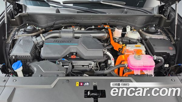 Hyundai Santa Fe 2024, фото 6