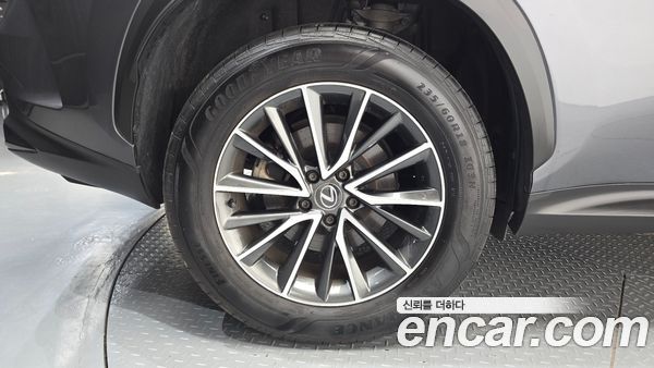 Lexus NX 2024, фото 5