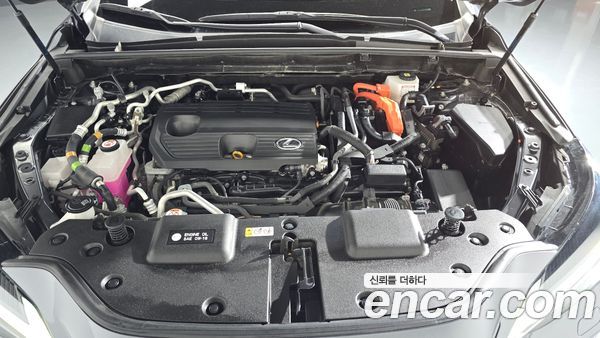 Lexus NX 2024, фото 6