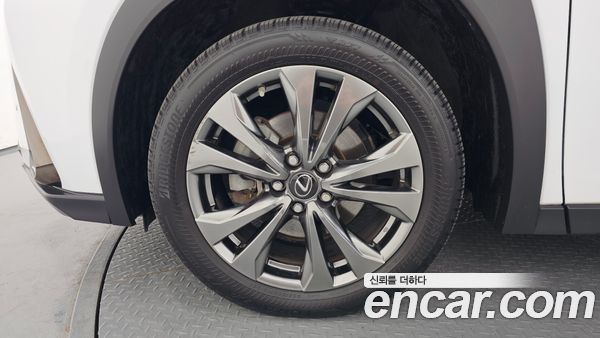 Lexus UX 2022, фото 5