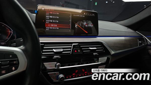BMW 5 Series 2021, фото 14