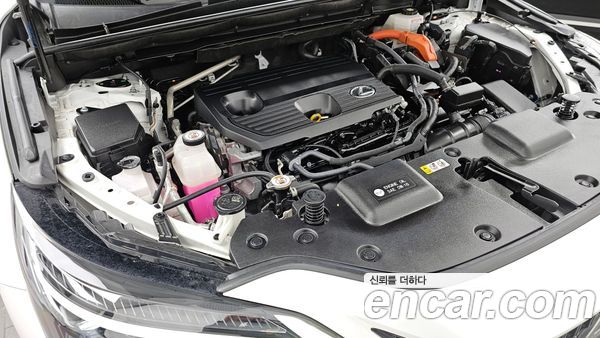 Lexus NX 2024, фото 6