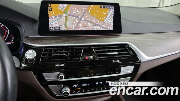 BMW 5 Series 2020, фото 14