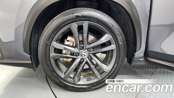 Lexus NX 2024, фото 5