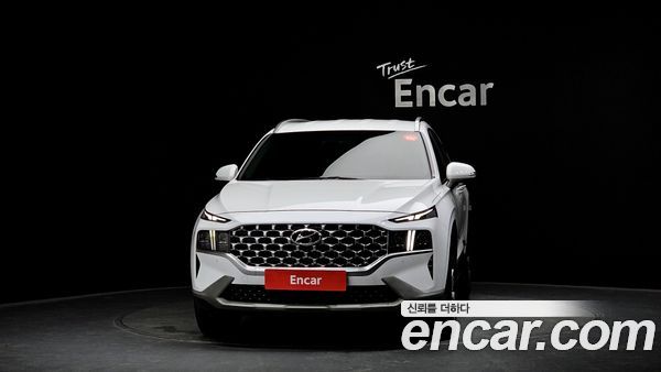 Hyundai Santa Fe 2021, фото 3