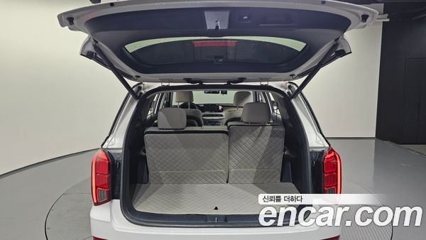 Hyundai Palisade 2022, фото 24