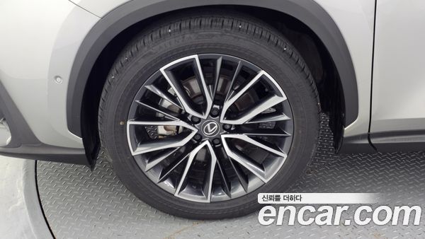 Lexus NX 2025, фото 5