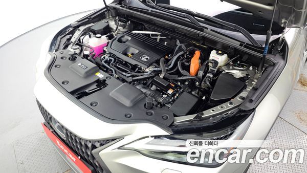 Lexus NX 2025, фото 6