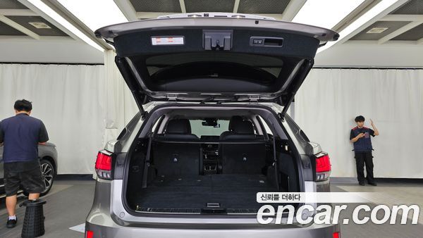 Lexus RX 2020, фото 26