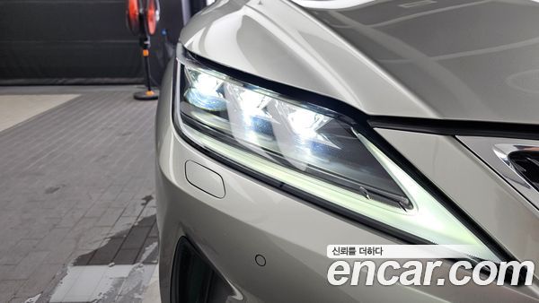 Lexus RX 2020, фото 8