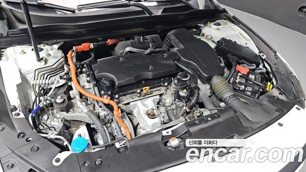 Honda Accord 2022, фото 5