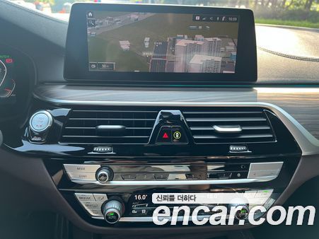 BMW 5 Series 2020, фото 13