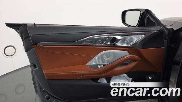 BMW 8 Series 2023, фото 14