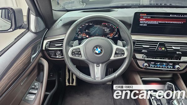 BMW 5 Series 2021, фото 19