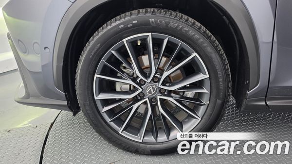 Lexus NX 2023, фото 5