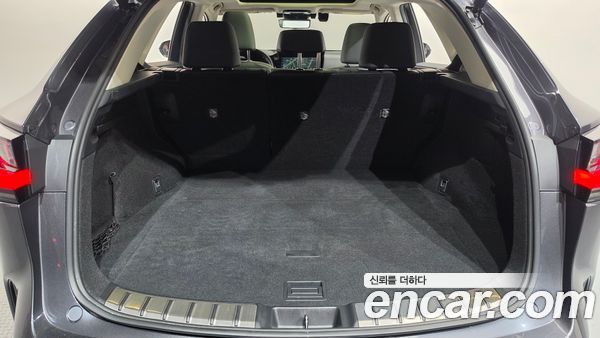 Lexus NX 2023, фото 24