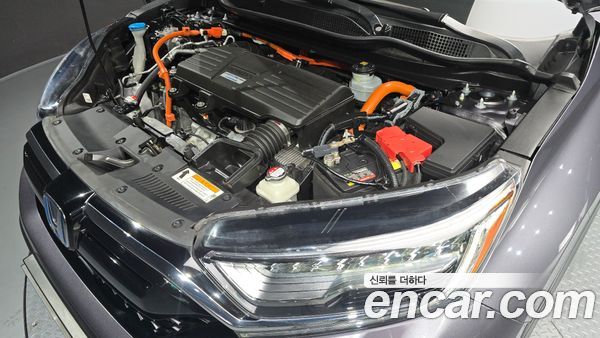 Honda CR-V 2021, фото 5