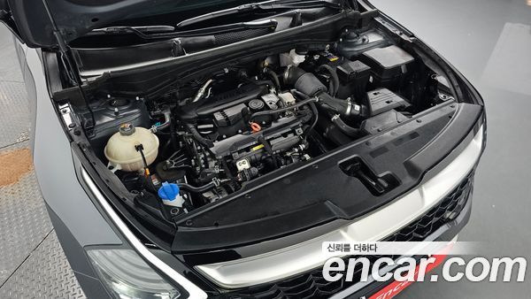 Kia Sportage 2023, фото 5