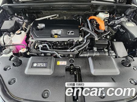 Lexus NX 2026, фото 6