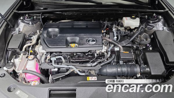 Lexus ES 2024, фото 6