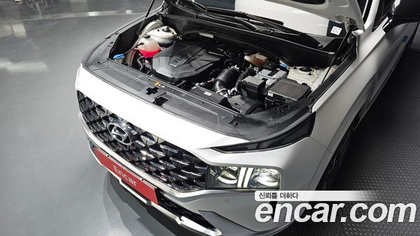 Hyundai Santa Fe 2021, фото 6