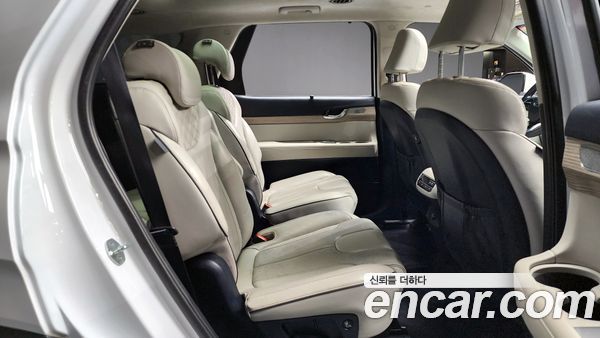 Hyundai Palisade 2020, фото 12