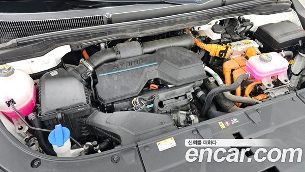 Kia Carnival 2025, фото 6