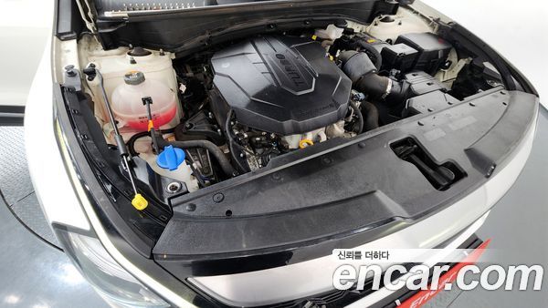 Kia Sportage 2022, фото 5
