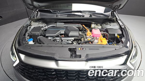 Kia Sportage 2023, фото 6