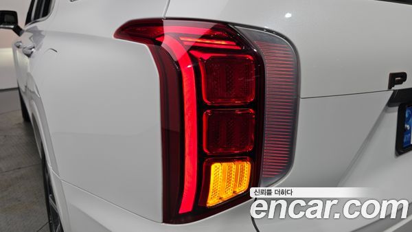Hyundai Palisade 2021, фото 8