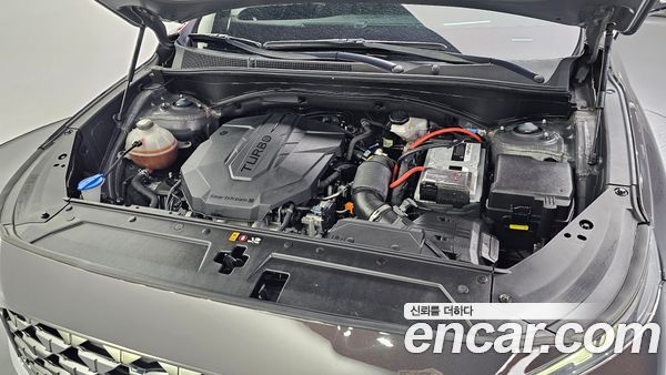 Hyundai Santa Fe 2021, фото 6