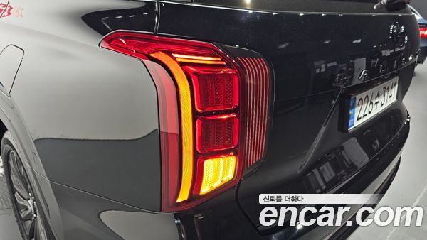 Hyundai Palisade 2024, фото 9