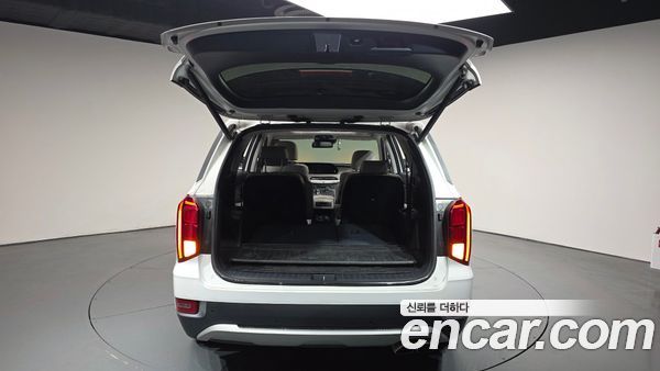 Hyundai Palisade 2022, фото 26