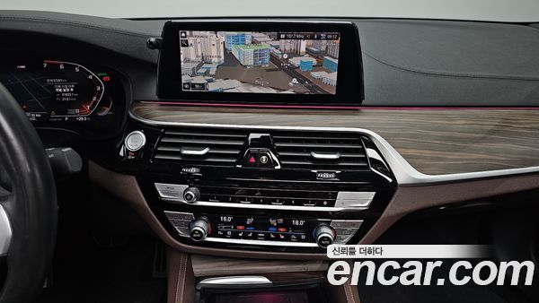 BMW 5 Series 2020, фото 19